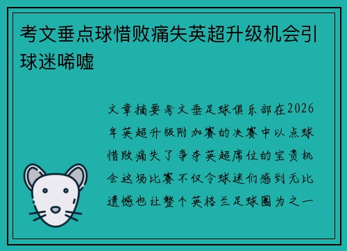考文垂点球惜败痛失英超升级机会引球迷唏嘘 考文垂点球惜败痛失英超升级机会引球迷唏嘘